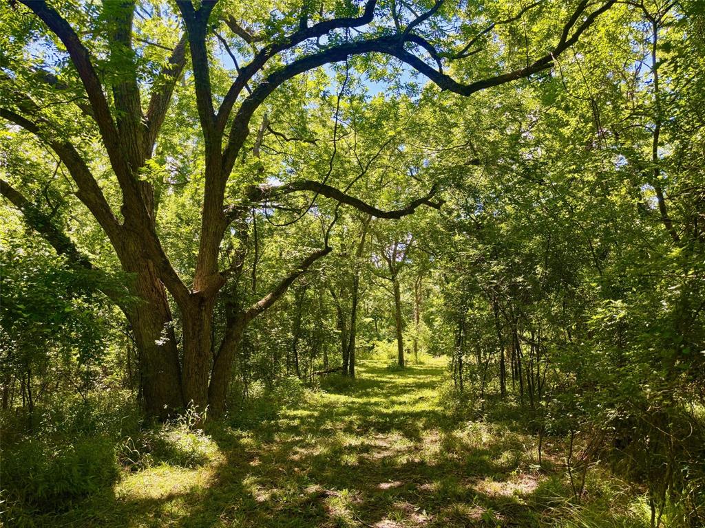 2967 Cr-4410 Commerce, TX 75428 - Photo 4 of 12