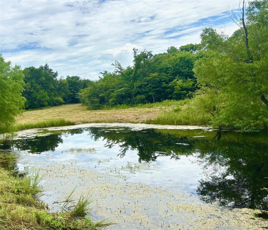 2967 Cr-4410 Commerce, TX 75428 - Photo 5 of 12