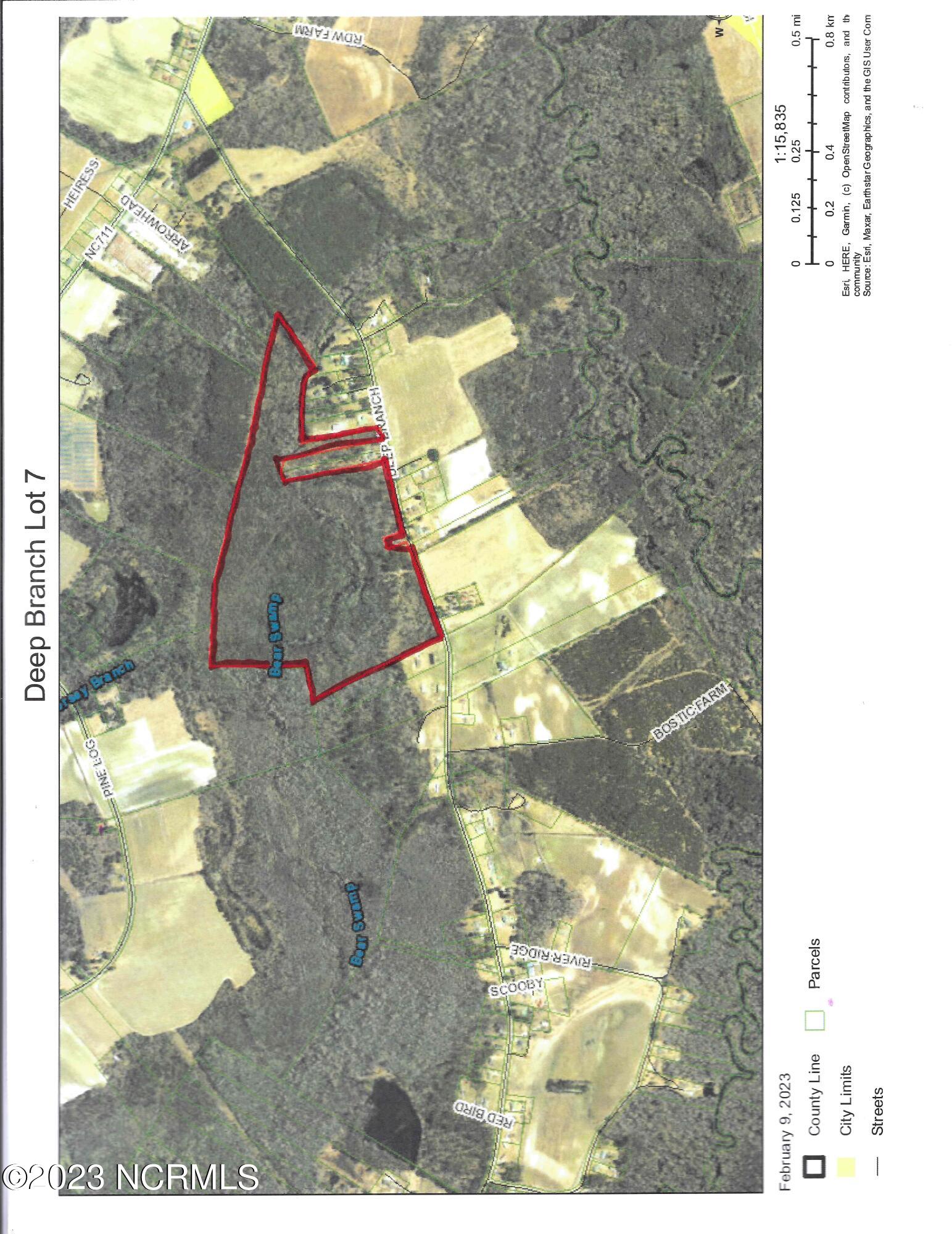 7 Deep Branch Road Lumberton, NC 28360 - Photo 1 of 1 lot 7