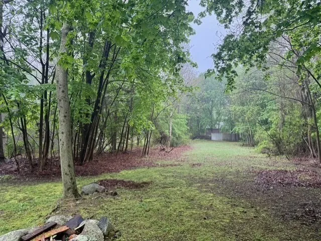 a view of outdoor space and yard