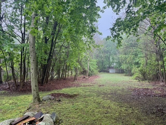 294 Pond Street, Unit 1 Braintree, MA 02184 - Photo 15 of 15 a view of outdoor space and yard