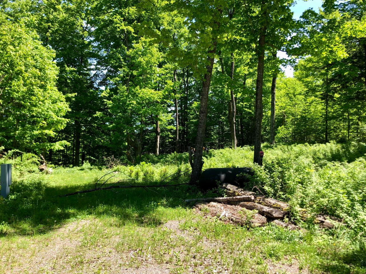 N214 Highview Lane Rib Lake, WI 54470 - Photo 14 of 15 Gallery Image 14