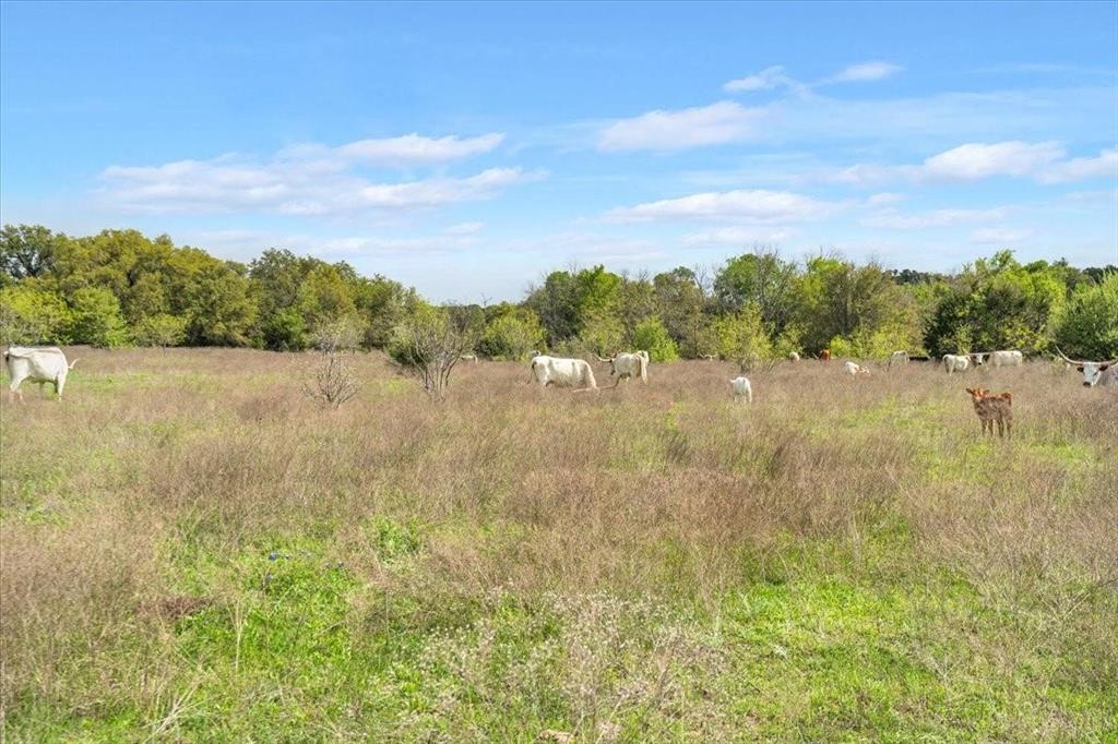 Tbd 252-acres Tbd 252-acres Dan Morgan Road China Spring, TX 76633 - Photo 11 of 36 a view of lake view and mountain view
