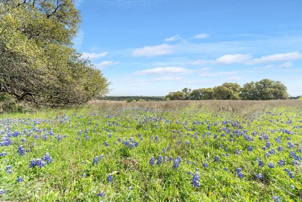 Tbd 252-acres Tbd 252-acres Dan Morgan Road China Spring, TX 76633 - Photo 13 of 36 a view of lake with mountain in the back