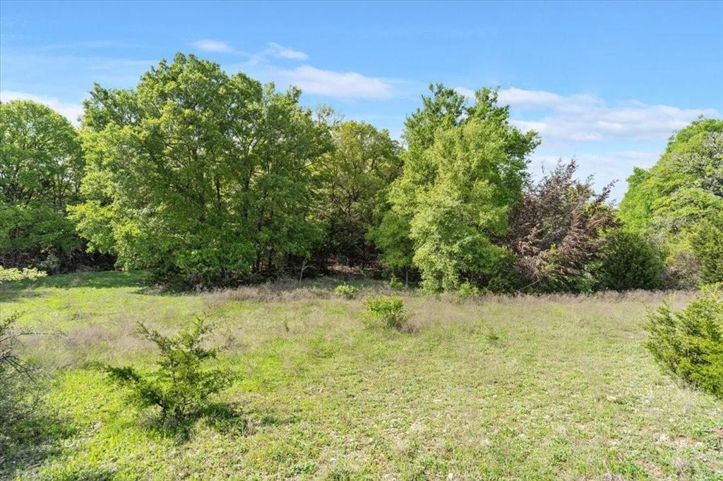 Tbd 252-acres Tbd 252-acres Dan Morgan Road China Spring, TX 76633 - Photo 14 of 36 a view of a yard