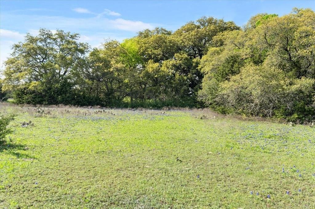 Tbd 252-acres Tbd 252-acres Dan Morgan Road China Spring, TX 76633 - Photo 15 of 36 a view of a outdoor space