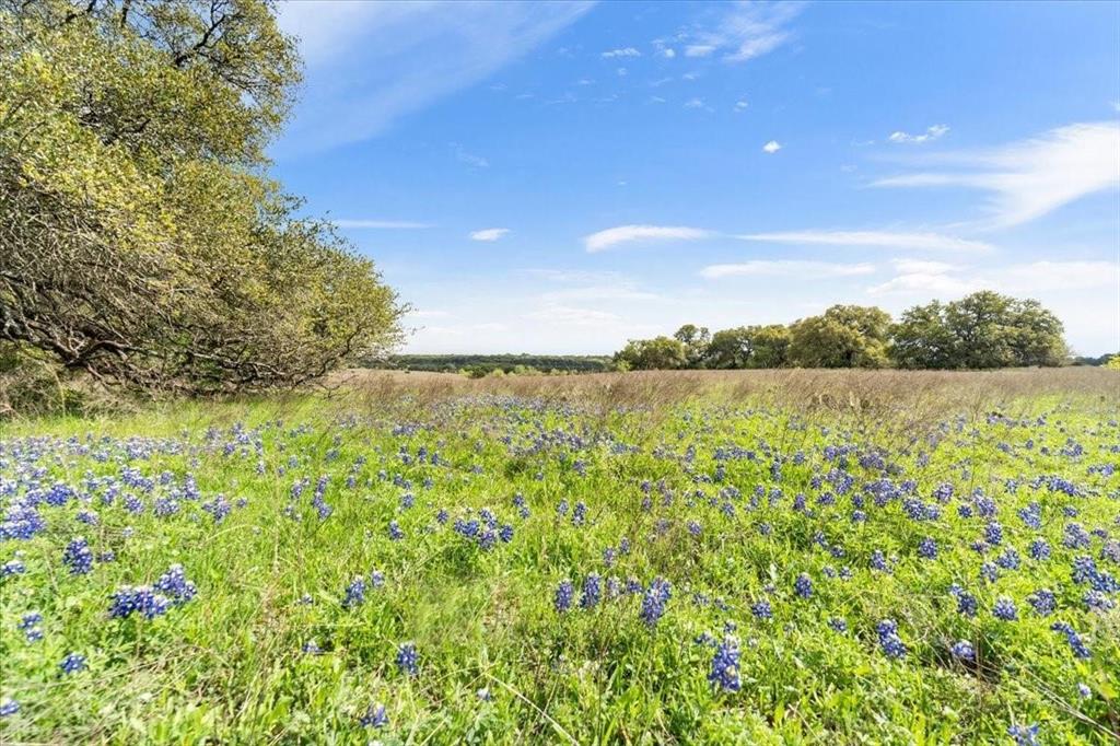 Tbd 252-acres Tbd 252-acres Dan Morgan Road China Spring, TX 76633 - Photo 27 of 36 a view of lake with green space