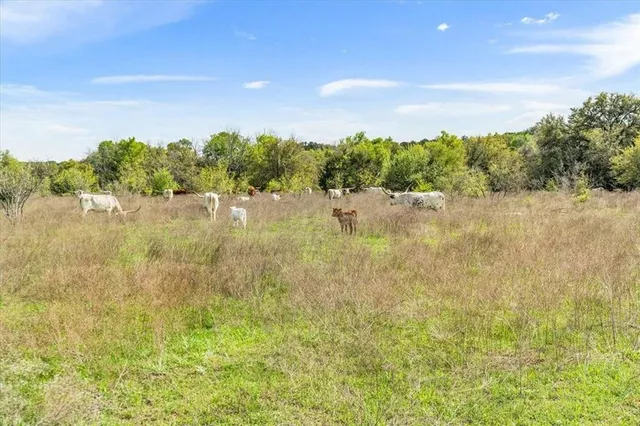 $2,457,000 | Tbd 252-acres Tbd 252-acres Dan Morgan Road, China Spring, TX 76633