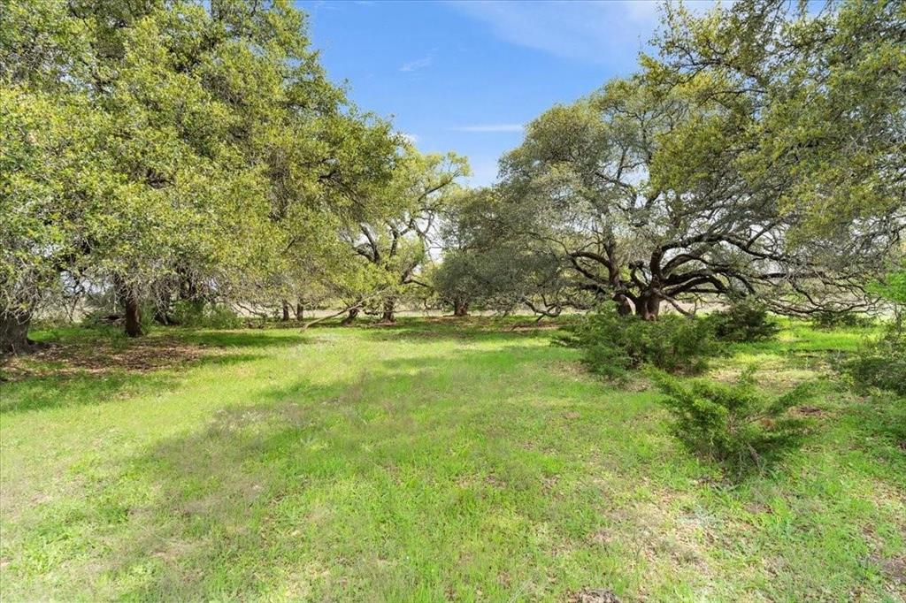 Tbd 252-acres Tbd 252-acres Dan Morgan Road China Spring, TX 76633 - Photo 34 of 36 a view of yard with green space