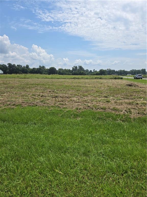 1209 Hampton Road Natchitoches, LA 71457 - Photo 3 of 4