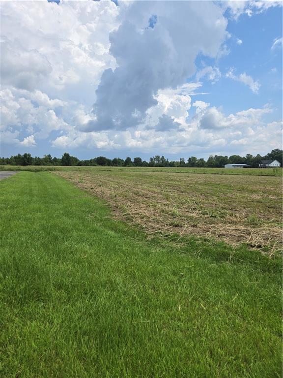 1209 Hampton Road Natchitoches, LA 71457 - Photo 4 of 4