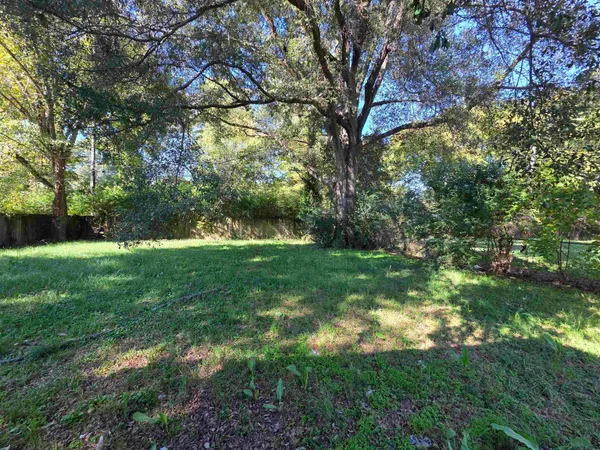 a view of yard with green space
