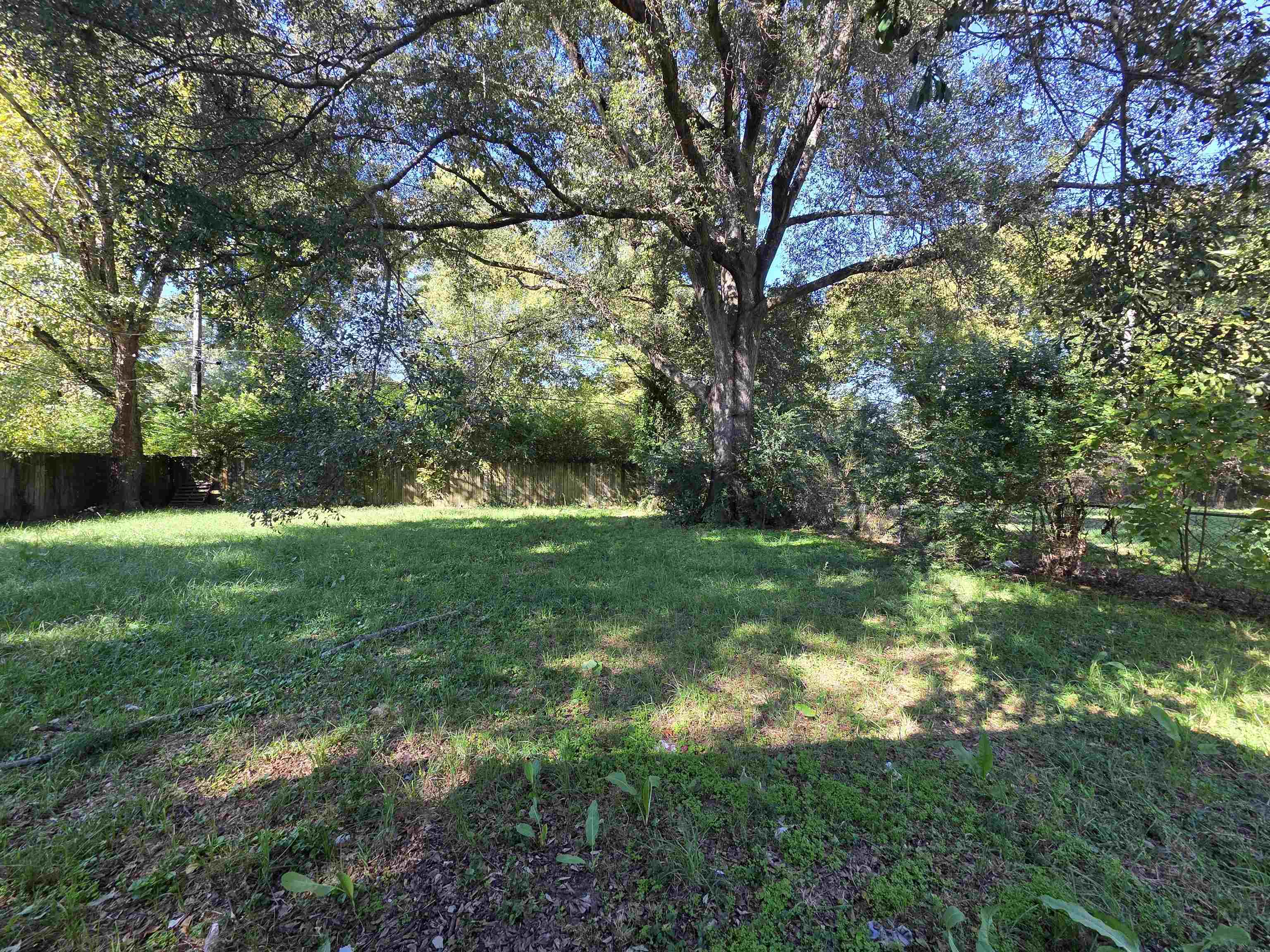 4573 Appleville Street Memphis, TN 38109 - Photo 20 of 22 a view of yard with green space