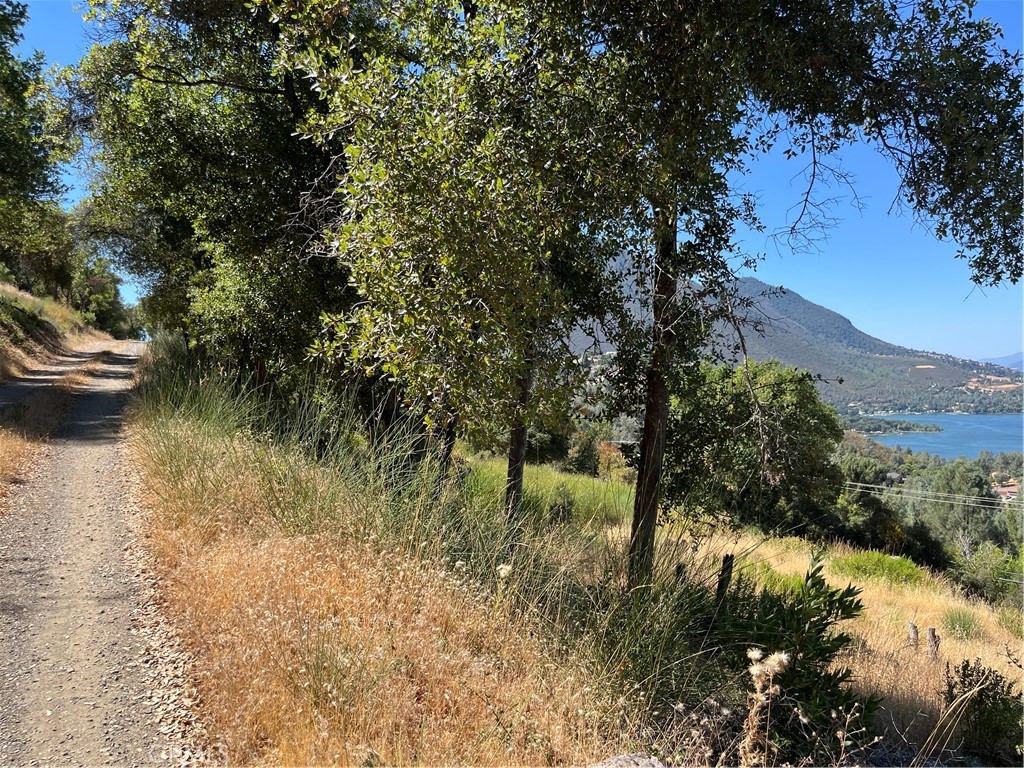 10009 Point Lakeview Road Kelseyville, CA 95451 - Photo 3 of 10 a view of lake with green space