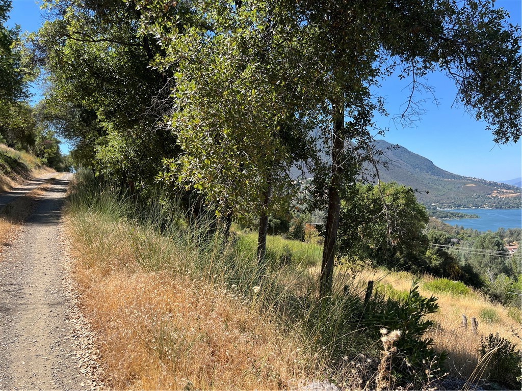 10009 Point Lakeview Road Kelseyville, CA 95451 - Photo 4 of 10 a view of lake with green space