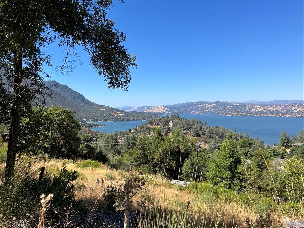 10009 Point Lakeview Road Kelseyville, CA 95451 - Photo 5 of 10 a view of a forest with mountains in the background
