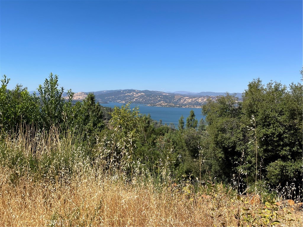 10009 Point Lakeview Road Kelseyville, CA 95451 - Photo 8 of 10 a view of a bunch of trees