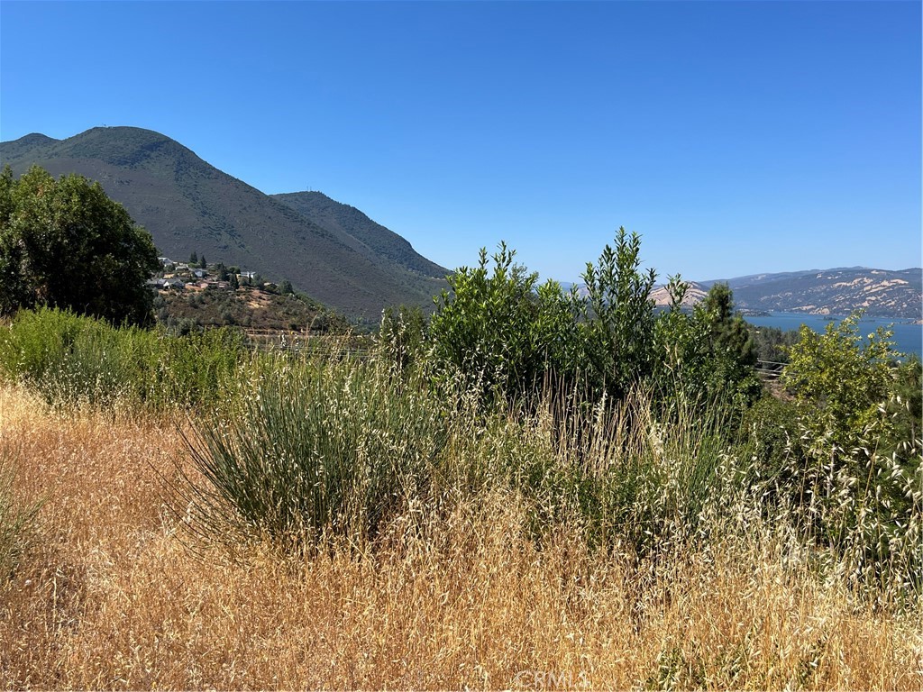 10009 Point Lakeview Road Kelseyville, CA 95451 - Photo 9 of 10 a view of a lush green field