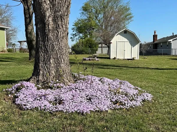 $174,900 | 902 South 1st Street, El Dorado Springs, MO 64744