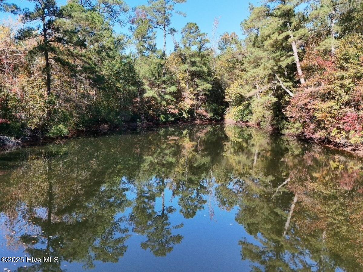 Tbd East Powersville Road Lumberton, NC 28358 - Photo 14 of 42 13