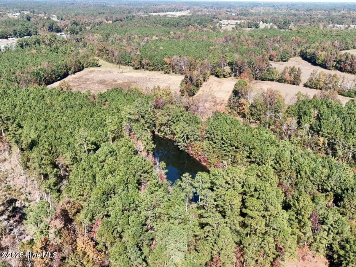 Tbd East Powersville Road Lumberton, NC 28358 - Photo 16 of 42 15
