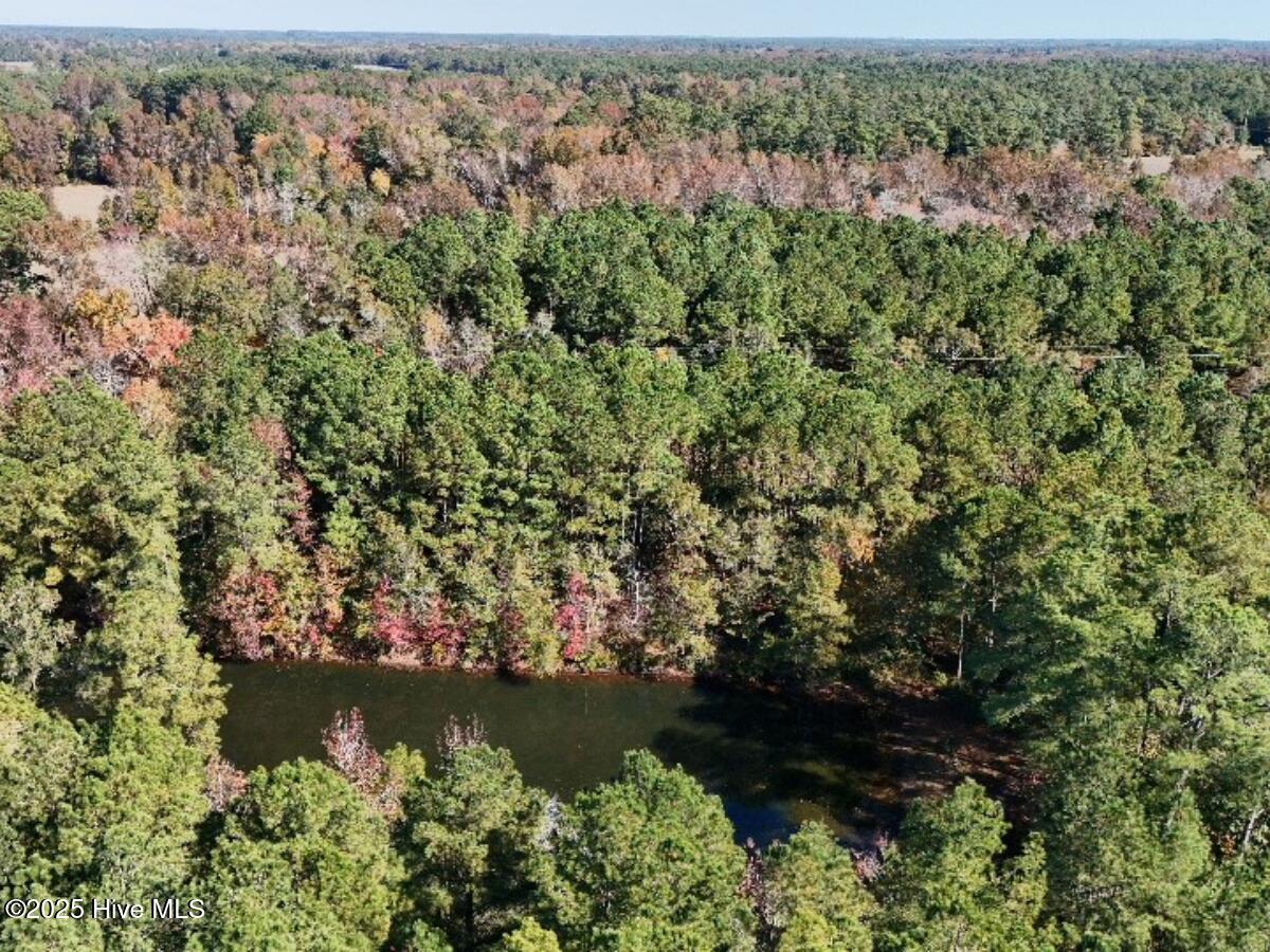 Tbd East Powersville Road Lumberton, NC 28358 - Photo 17 of 42 16
