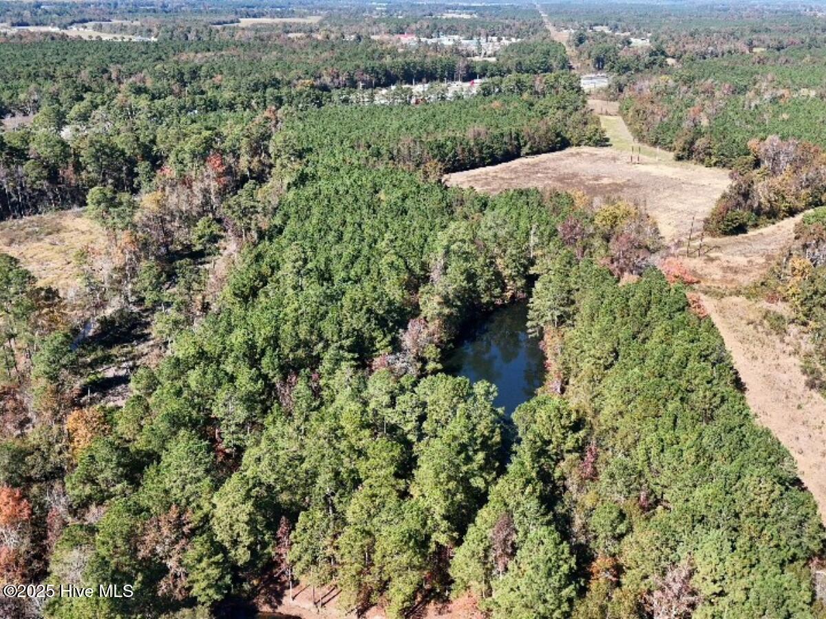 Tbd East Powersville Road Lumberton, NC 28358 - Photo 18 of 42 17