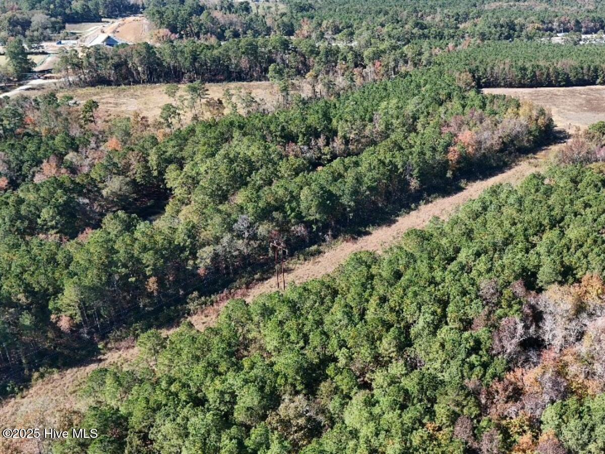 Tbd East Powersville Road Lumberton, NC 28358 - Photo 20 of 42 19