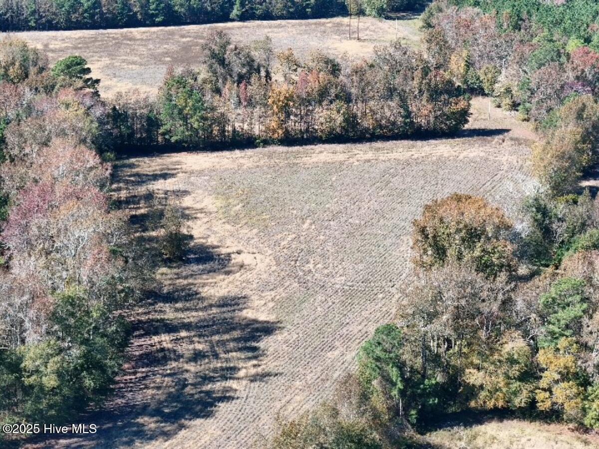 Tbd East Powersville Road Lumberton, NC 28358 - Photo 21 of 42 20