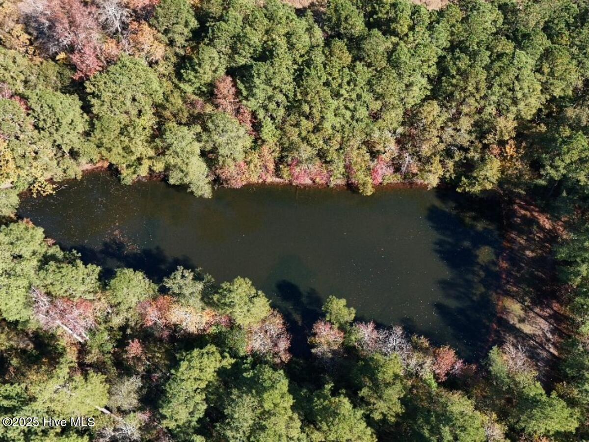 Tbd East Powersville Road Lumberton, NC 28358 - Photo 23 of 42 22