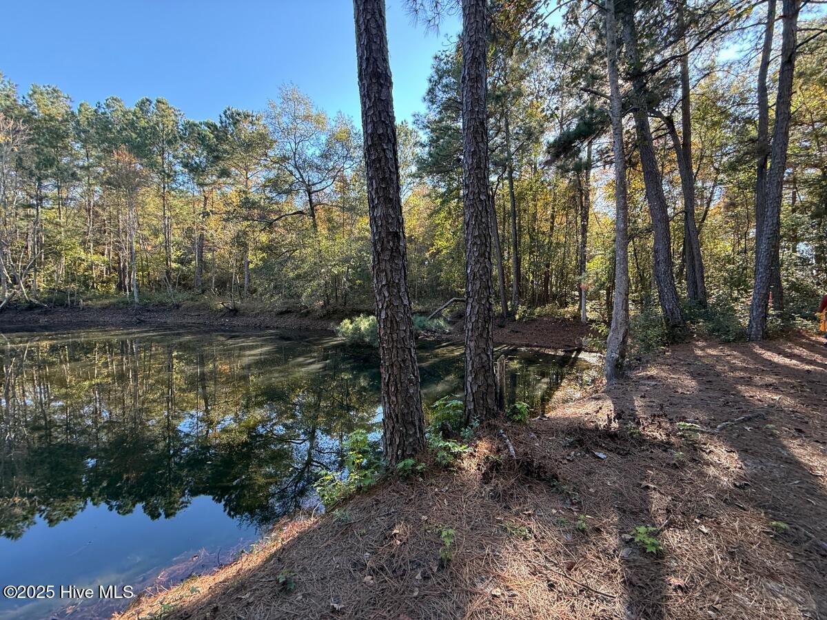 Tbd East Powersville Road Lumberton, NC 28358 - Photo 24 of 42 23