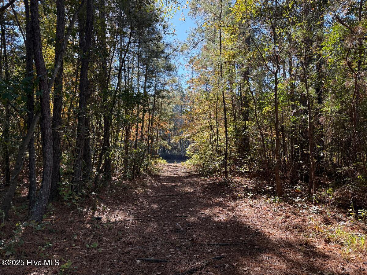 Tbd East Powersville Road Lumberton, NC 28358 - Photo 25 of 42 24