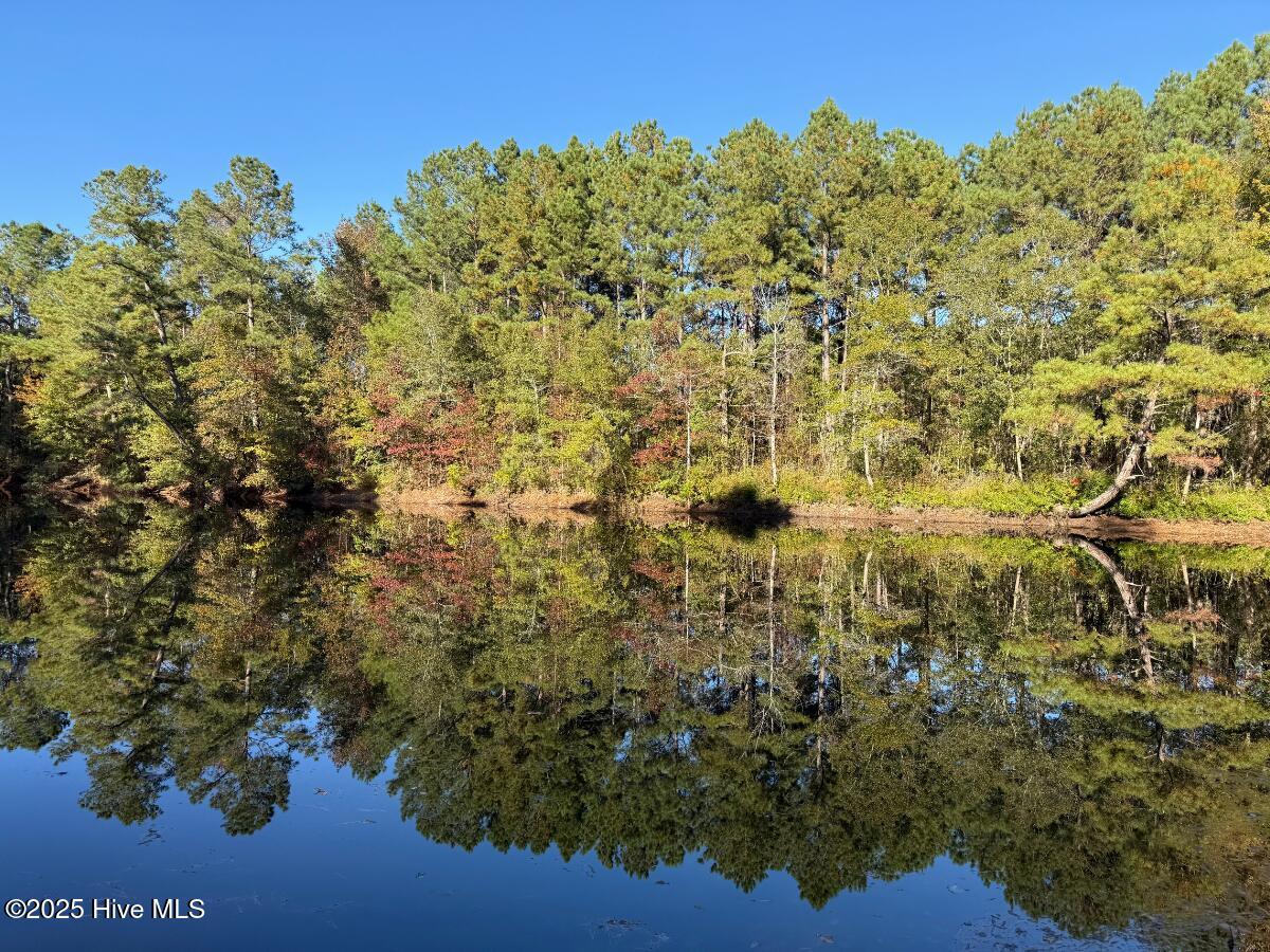 Tbd East Powersville Road Lumberton, NC 28358 - Photo 26 of 42 25
