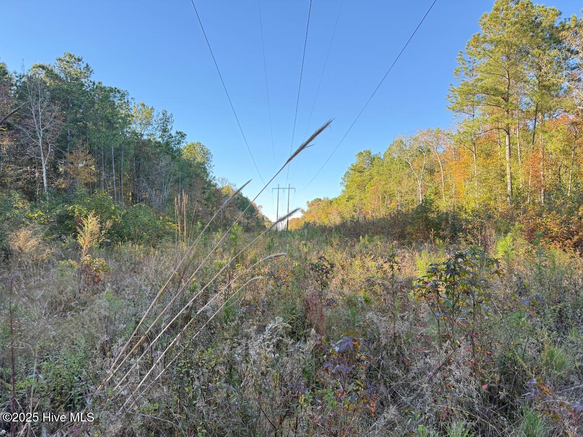 Tbd East Powersville Road Lumberton, NC 28358 - Photo 28 of 42 28