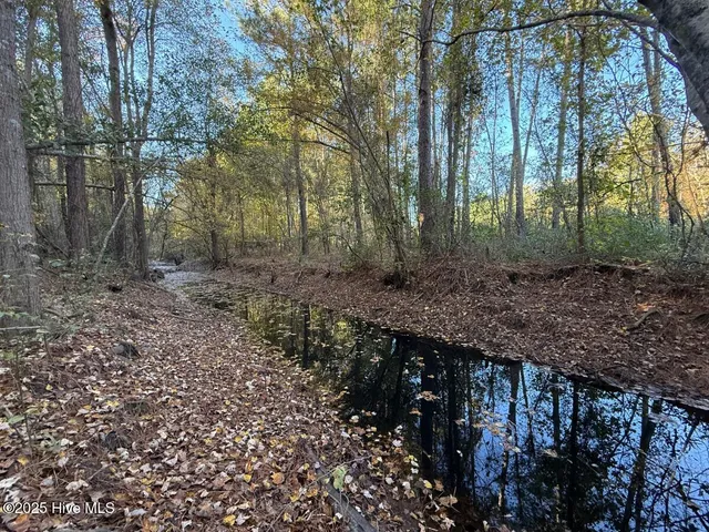 $191,000 | Tbd East Powersville Road, Lumberton, NC 28358