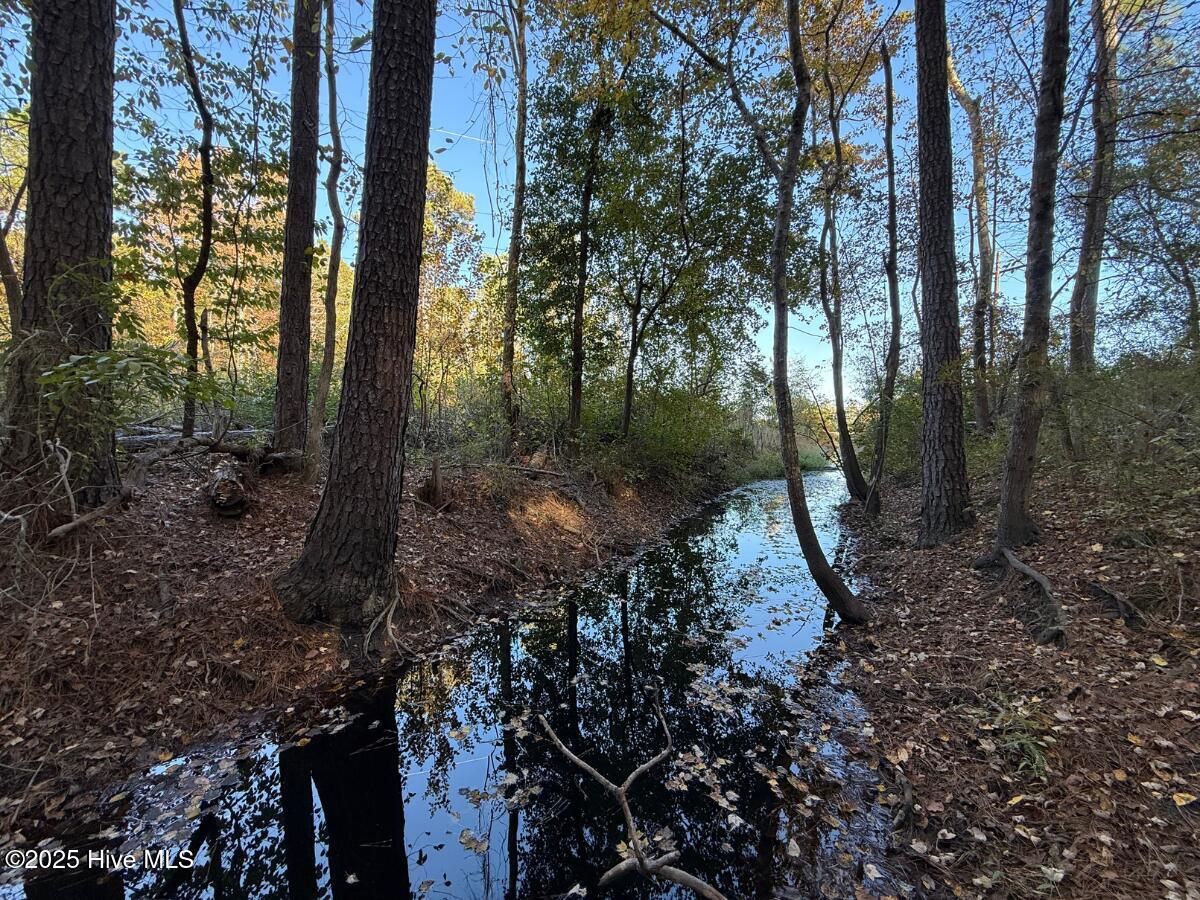 Tbd East Powersville Road Lumberton, NC 28358 - Photo 31 of 42 31