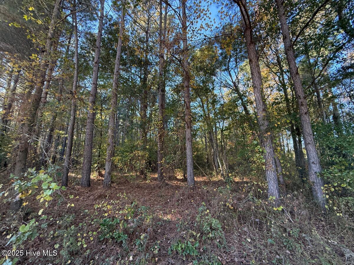 Tbd East Powersville Road Lumberton, NC 28358 - Photo 32 of 42 32