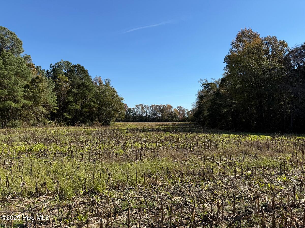 Tbd East Powersville Road Lumberton, NC 28358 - Photo 33 of 42 33