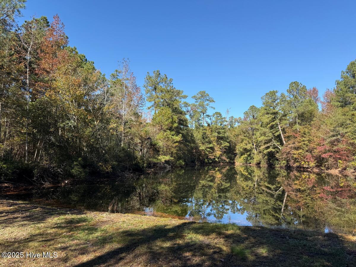Tbd East Powersville Road Lumberton, NC 28358 - Photo 34 of 42 34