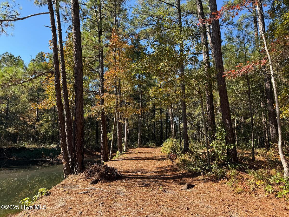 Tbd East Powersville Road Lumberton, NC 28358 - Photo 35 of 42 35