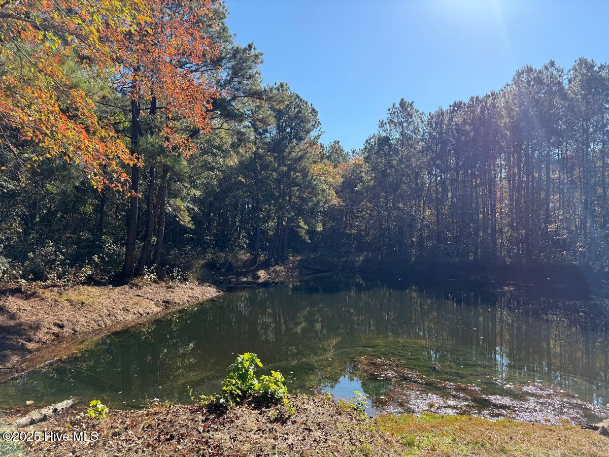 Tbd East Powersville Road Lumberton, NC 28358 - Photo 37 of 42 37