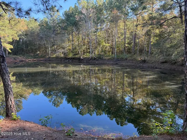 $191,000 | Tbd East Powersville Road, Lumberton, NC 28358