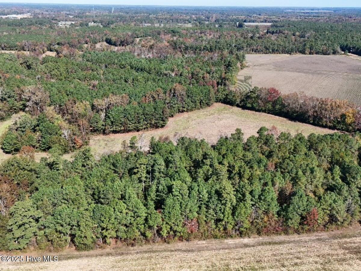 Tbd East Powersville Road Lumberton, NC 28358 - Photo 5 of 42 4