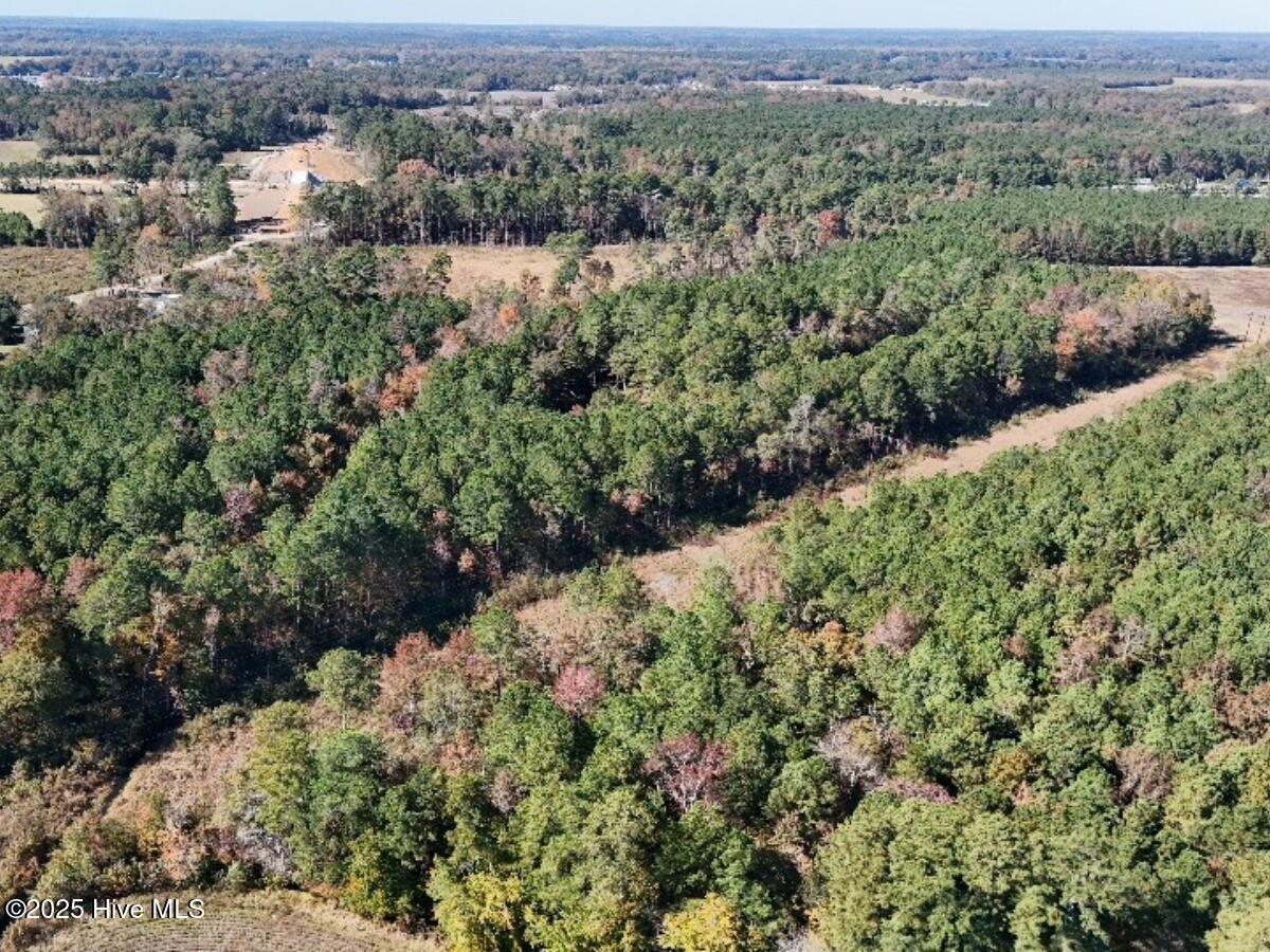 Tbd East Powersville Road Lumberton, NC 28358 - Photo 10 of 42 9