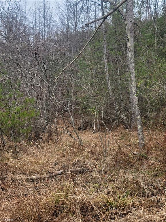 0 Browntown Road Millers Creek, NC 28651 - Photo 11 of 12