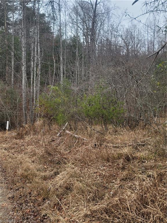 0 Browntown Road Millers Creek, NC 28651 - Photo 12 of 12