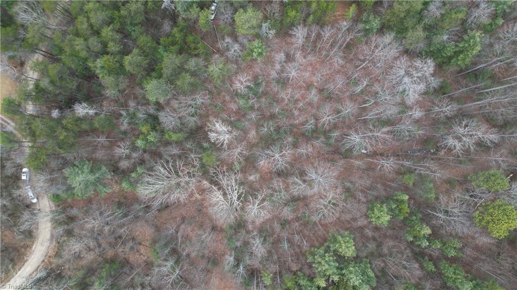 0 Browntown Road Millers Creek, NC 28651 - Photo 2 of 12