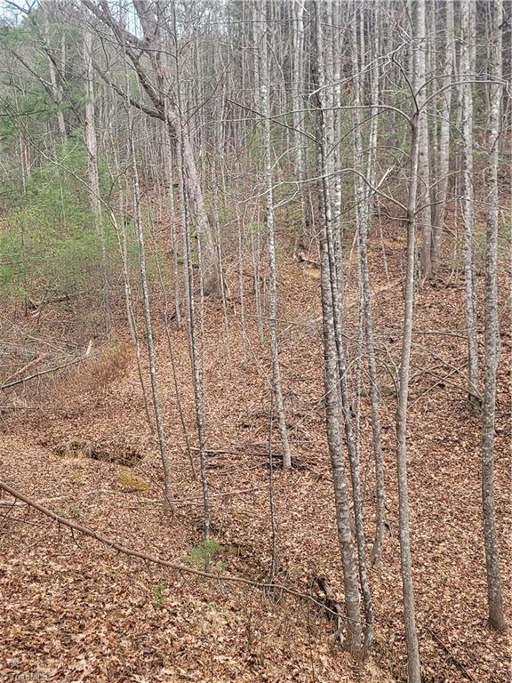 0 Browntown Road Millers Creek, NC 28651 - Photo 2 of 12
