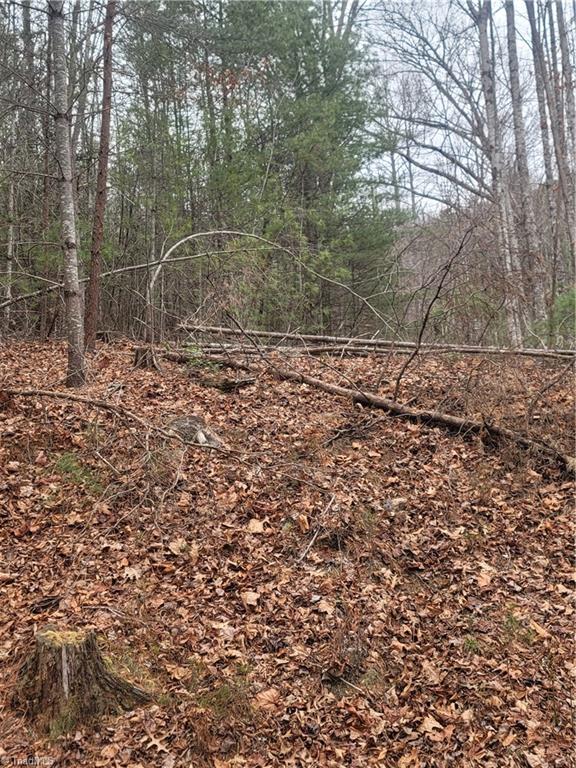 0 Browntown Road Millers Creek, NC 28651 - Photo 3 of 12