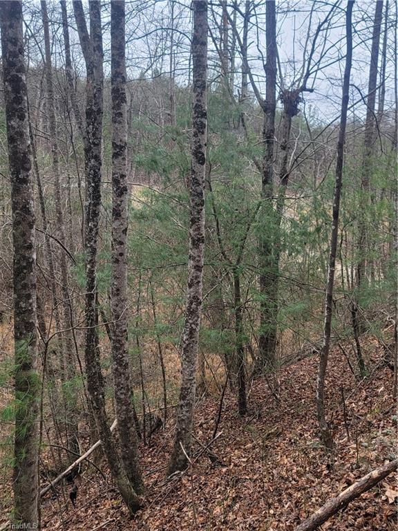 0 Browntown Road Millers Creek, NC 28651 - Photo 4 of 12